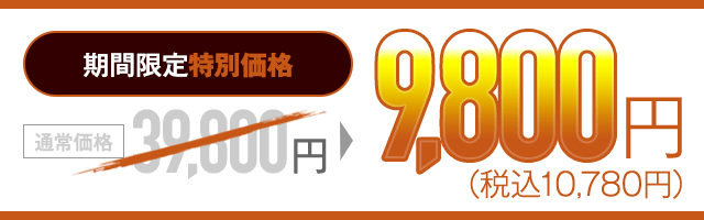 期間限定特別価格