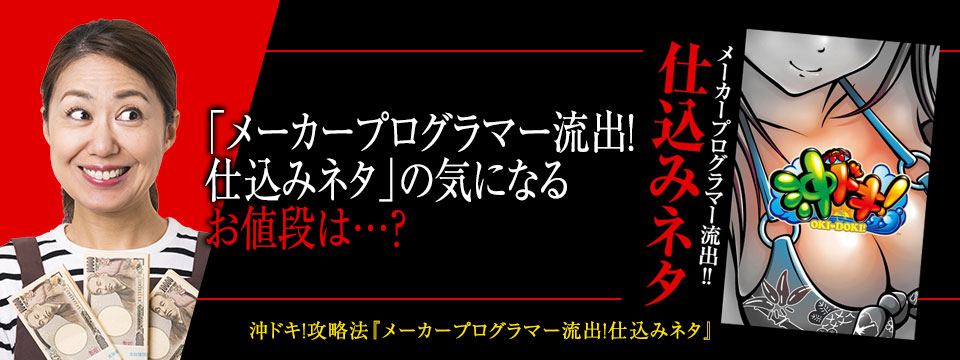 「メーカープログラマー流出！仕込みネタ」の気になるお値段は？