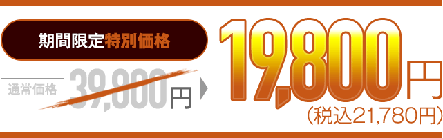 期間限定特別価格